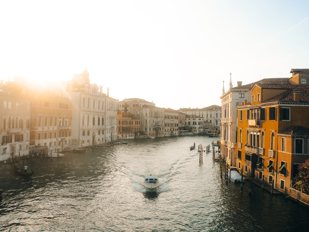 薄暮时分看影子