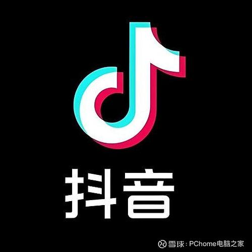 抓取抖音视频调用测试！