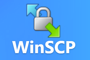  WinSCP 6.5.5 中文正式版  开源安全的图形化SFTP/FTP客户端
