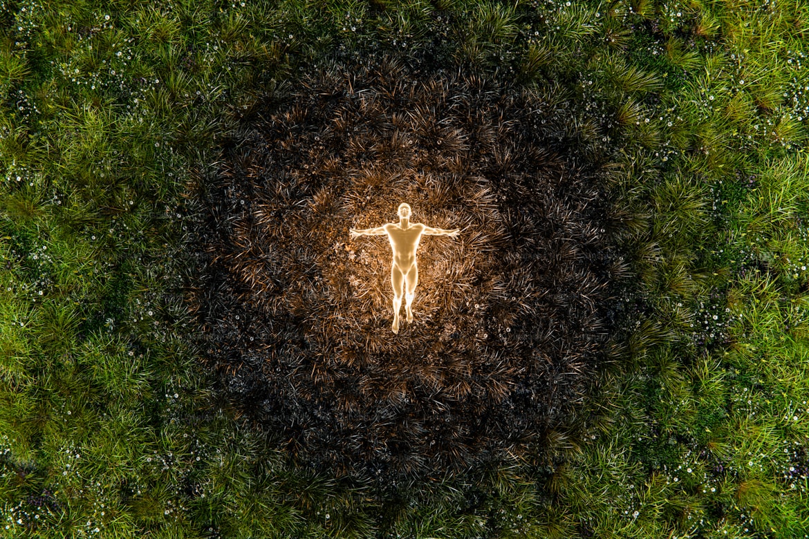 新岁，愿你如春草勃发