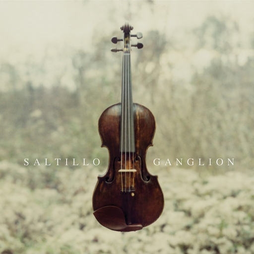 [神游舞曲 Trip Hop] 索尔蒂约（Saltillo）-专辑《Ganglion》：神经末梢的黑暗诗篇与人性解剖 封面